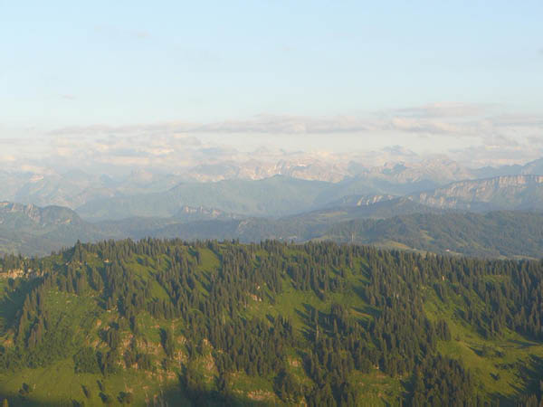 P1060742 (Groß)