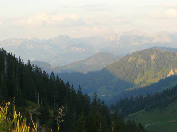 P1060753 (Groß)