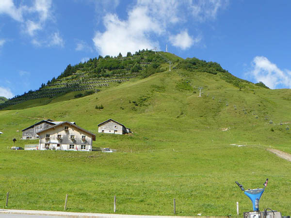 P1060769 (Groß)