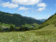 P1060775 (Groß)