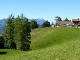P1060814 (Groß)
