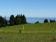 P1060818 (Groß)
