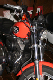 HollTour43