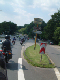 Mogo0981