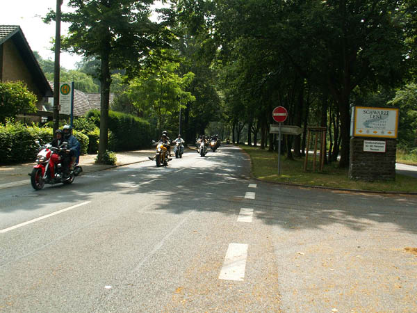 Mogo10_0112