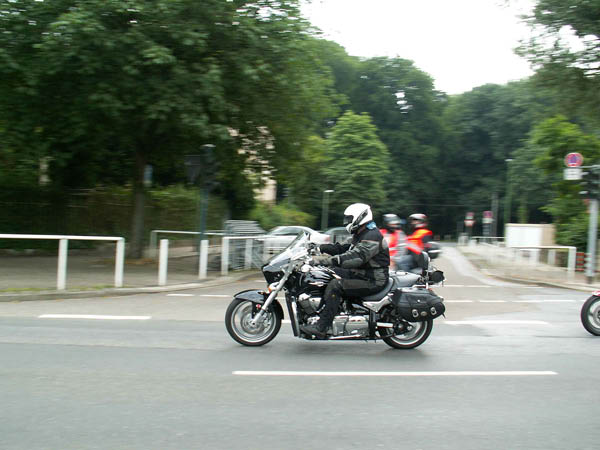 Mogo10_0131