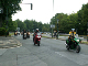 Mogo10_0125