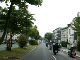 Mogo10_0136