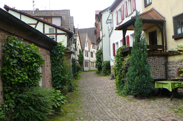 P1050195