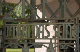 IMG-0083