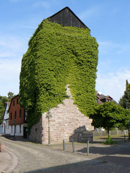 P1070102