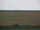 P1070162